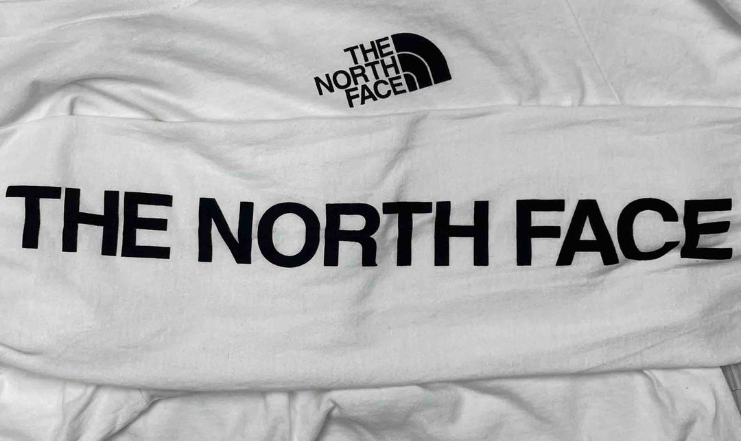 تیشرت استیندار thenorthface image 2